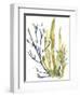 Reef Illusion I-Jennifer Goldberger-Framed Art Print