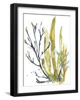 Reef Illusion I-Jennifer Goldberger-Framed Art Print