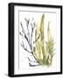 Reef Illusion I-Jennifer Goldberger-Framed Art Print