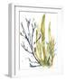 Reef Illusion I-Jennifer Goldberger-Framed Art Print