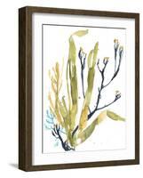 Reef Illusion II-Jennifer Goldberger-Framed Art Print