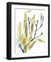 Reef Illusion II-Jennifer Goldberger-Framed Art Print