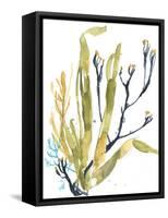 Reef Illusion II-Jennifer Goldberger-Framed Stretched Canvas