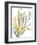 Reef Illusion II-Jennifer Goldberger-Framed Art Print