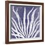 Reef IV-Maria Mendez-Framed Giclee Print