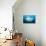 Reef manta swimming with a Remora, Indian Ocean-Alex Mustard-Stretched Canvas displayed on a wall
