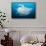 Reef manta swimming with a Remora, Indian Ocean-Alex Mustard-Framed Stretched Canvas displayed on a wall
