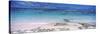 Reef, Rarotonga, Cook Islands, New Zealand-null-Stretched Canvas