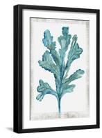 Reef Reverie III-Aimee Wilson-Framed Art Print