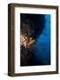 Reef Scene, Dominica, West Indies, Caribbean, Central America-Lisa Collins-Framed Photographic Print