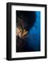 Reef Scene, Dominica, West Indies, Caribbean, Central America-Lisa Collins-Framed Photographic Print