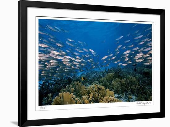 Reef Scenic 1-Jones-Shimlock-Framed Giclee Print