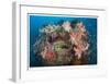Reef Scenic 2-Jones-Shimlock-Framed Giclee Print
