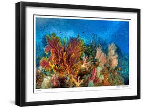 Reef Scenic 3-Jones-Shimlock-Framed Giclee Print