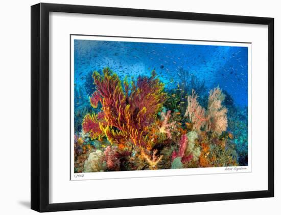 Reef Scenic 3-Jones-Shimlock-Framed Giclee Print