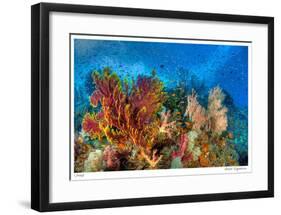 Reef Scenic 3-Jones-Shimlock-Framed Giclee Print