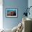 Reef Scenic 5-Jones-Shimlock-Framed Giclee Print displayed on a wall