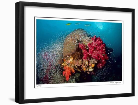 Reef Scenic 5-Jones-Shimlock-Framed Giclee Print