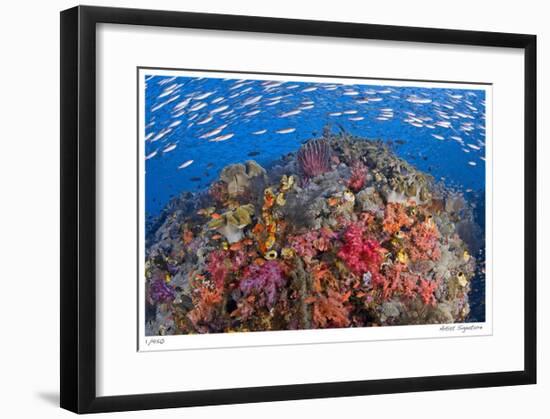 Reef Scenic 6-Jones-Shimlock-Framed Giclee Print