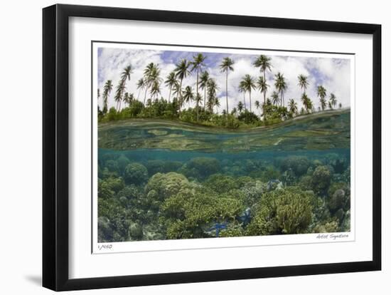 Reef Scenic Split Image-Jones-Shimlock-Framed Giclee Print