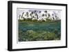 Reef Scenic Split Image-Jones-Shimlock-Framed Giclee Print