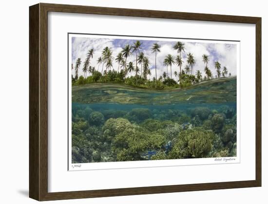 Reef Scenic Split Image-Jones-Shimlock-Framed Giclee Print