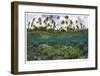 Reef Scenic Split Image-Jones-Shimlock-Framed Giclee Print