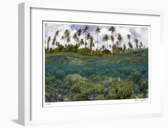 Reef Scenic Split Image-Jones-Shimlock-Framed Giclee Print