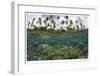 Reef Scenic Split Image-Jones-Shimlock-Framed Giclee Print