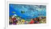 Reef Sharks and fish, Indian Sea-Pangea Images-Framed Giclee Print