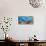 Reef Sharks and fish, Indian Sea-Pangea Images-Stretched Canvas displayed on a wall