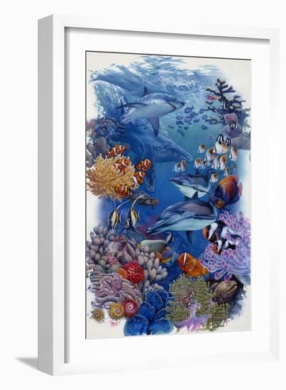 Reef-Tim Knepp-Framed Giclee Print