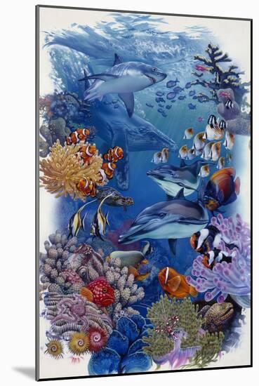 Reef-Tim Knepp-Mounted Giclee Print