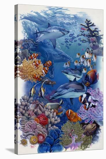 Reef-Tim Knepp-Stretched Canvas