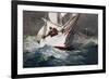 Reefing Sails Around Diamond Shoals, Cape Hatteras by Winslow Homer-Geoffrey Clements-Framed Giclee Print