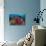 Reefscape with Grand Sea Whip and Gorgonian Sea Fans-null-Photographic Print displayed on a wall