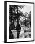 Reelfoot Lake, Tennessee, Showing Stagnant Lake Waters-Andreas Feininger-Framed Photographic Print