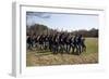 Reenactment Of Civil War Siege Of April 1862, Bridgeport, Alabama-Carol Highsmith-Framed Art Print