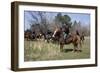 Reenactment Of Civil War Siege Of April 1862, Bridgeport, Alabama-Carol Highsmith-Framed Art Print