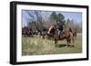 Reenactment Of Civil War Siege Of April 1862, Bridgeport, Alabama-Carol Highsmith-Framed Art Print