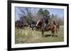 Reenactment Of Civil War Siege Of April 1862, Bridgeport, Alabama-Carol Highsmith-Framed Art Print