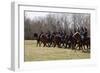 Reenactment Of Civil War Siege Of April 1862, Bridgeport, Alabama-Carol Highsmith-Framed Art Print