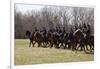 Reenactment Of Civil War Siege Of April 1862, Bridgeport, Alabama-Carol Highsmith-Framed Art Print