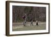 Reenactment Of Civil War Siege-Carol Highsmith-Framed Art Print