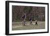 Reenactment Of Civil War Siege-Carol Highsmith-Framed Art Print