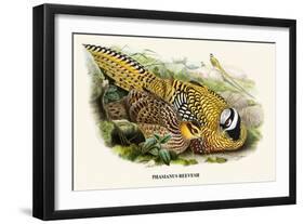 Reeve's Pheasant-Birds Of Asia-John Gould-Framed Art Print