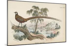 Reeves's Pheasant-English School-Mounted Giclee Print