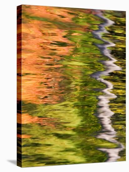 Refections of Fall Foliage and Birch Trees in Pond, Acadia National Park, Maine, USA-Joanne Wells-Stretched Canvas