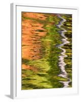 Refections of Fall Foliage and Birch Trees in Pond, Acadia National Park, Maine, USA-Joanne Wells-Framed Premium Photographic Print