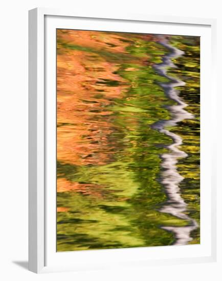 Refections of Fall Foliage and Birch Trees in Pond, Acadia National Park, Maine, USA-Joanne Wells-Framed Premium Photographic Print
